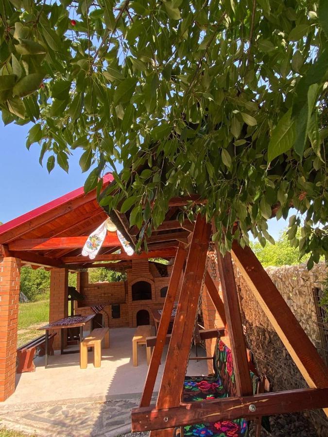 Pensiunea Montana Săpînţa المظهر الخارجي الصورة