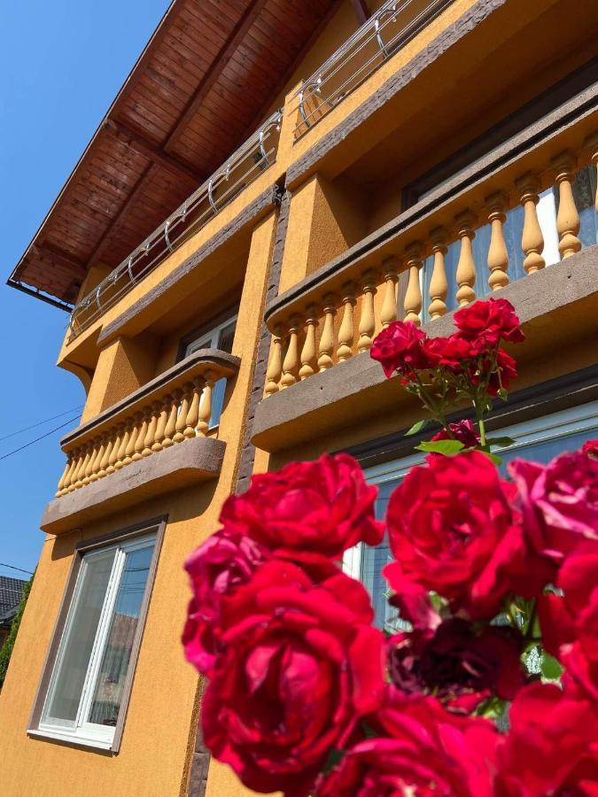 Pensiunea Montana Săpînţa المظهر الخارجي الصورة